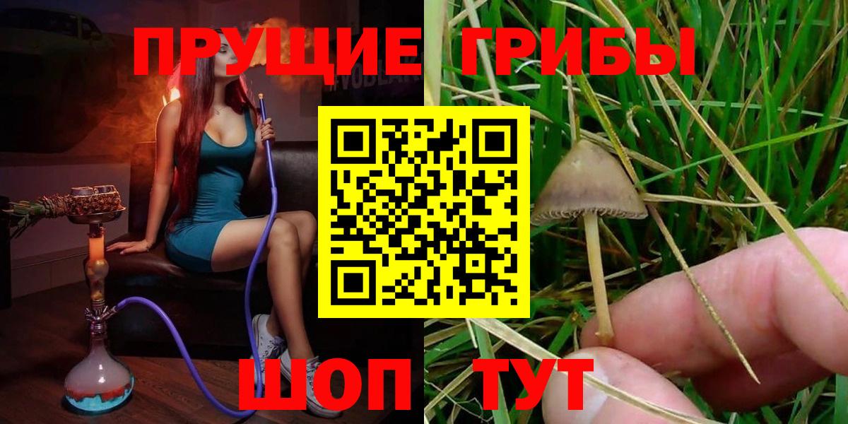 Галлюциногенные грибы мицелий  Вход с VPN  Галлюциногенные грибы GOLDEN TEACHER  Муравленко 