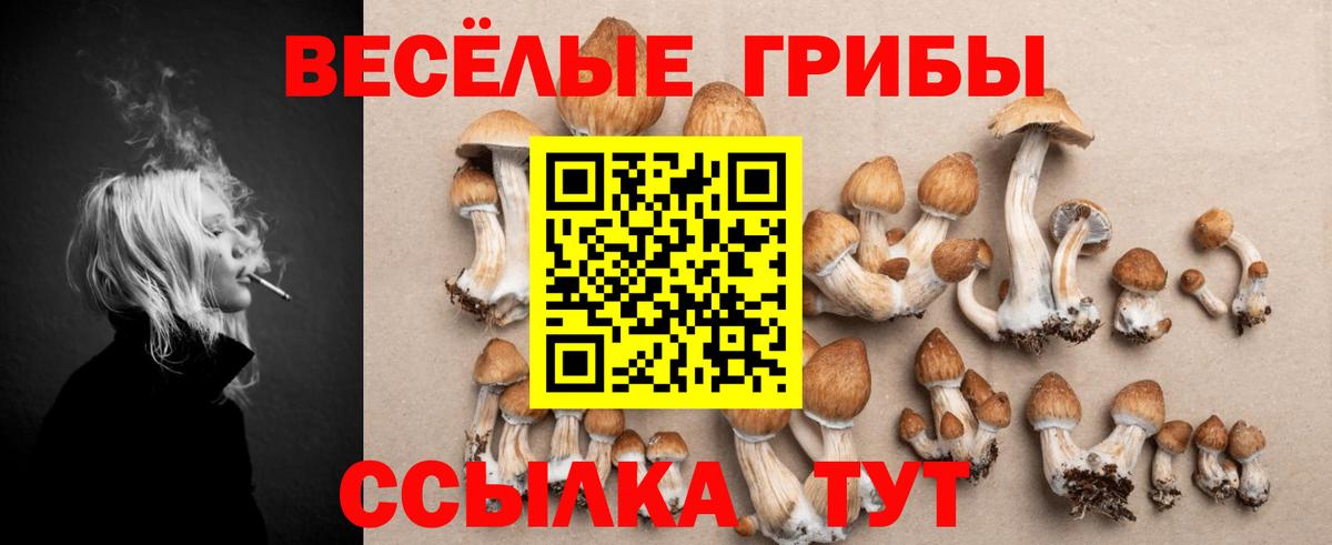 Псилоцибиновые грибы мицелий Муравленко